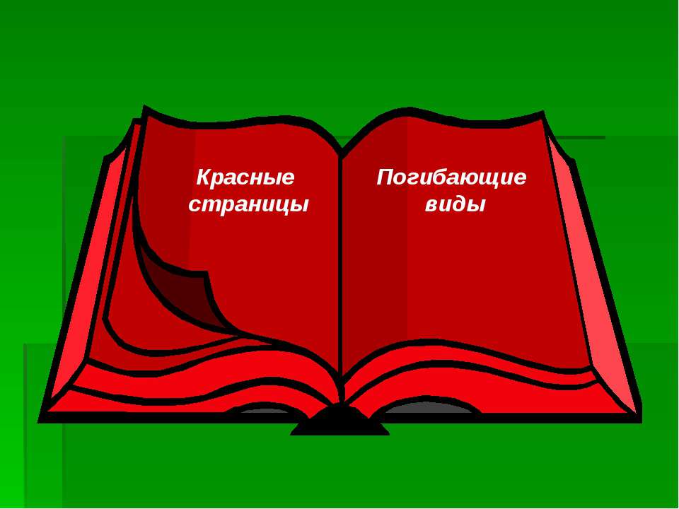 Картинка для красной книги