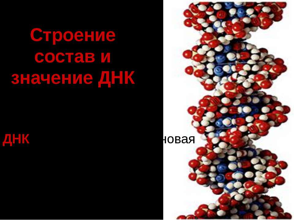 Жимулев И.Ф. Общая И Молекулярная Генетика Бесплатно