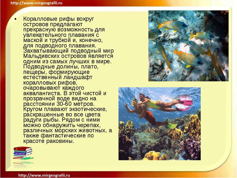 Презентация На Тему Коралловые Рифы