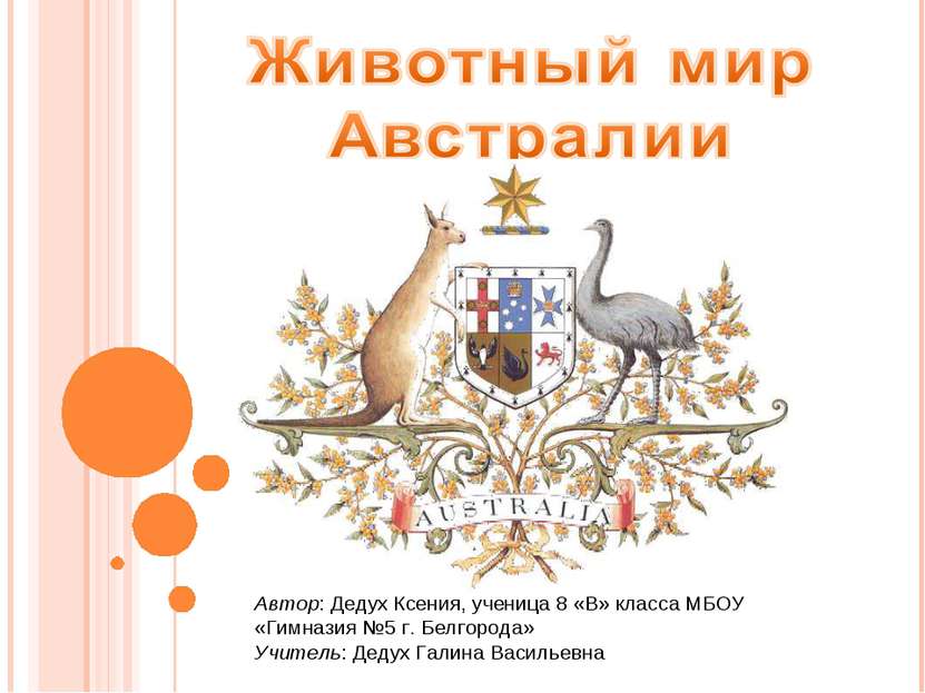 Животные австралии презентация — УССР-ГУИЛД