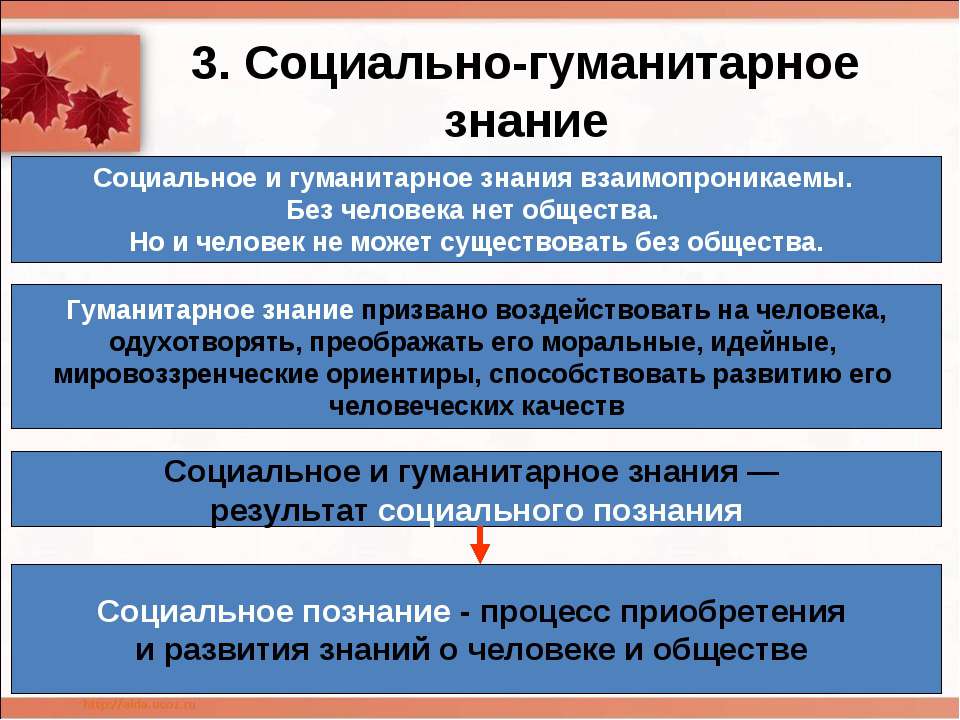 Социально гуманитарные проекты