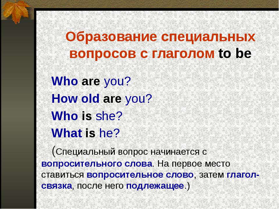 Общие вопросы в английском языке ‹ Грамматика ‹ engblog.ru
