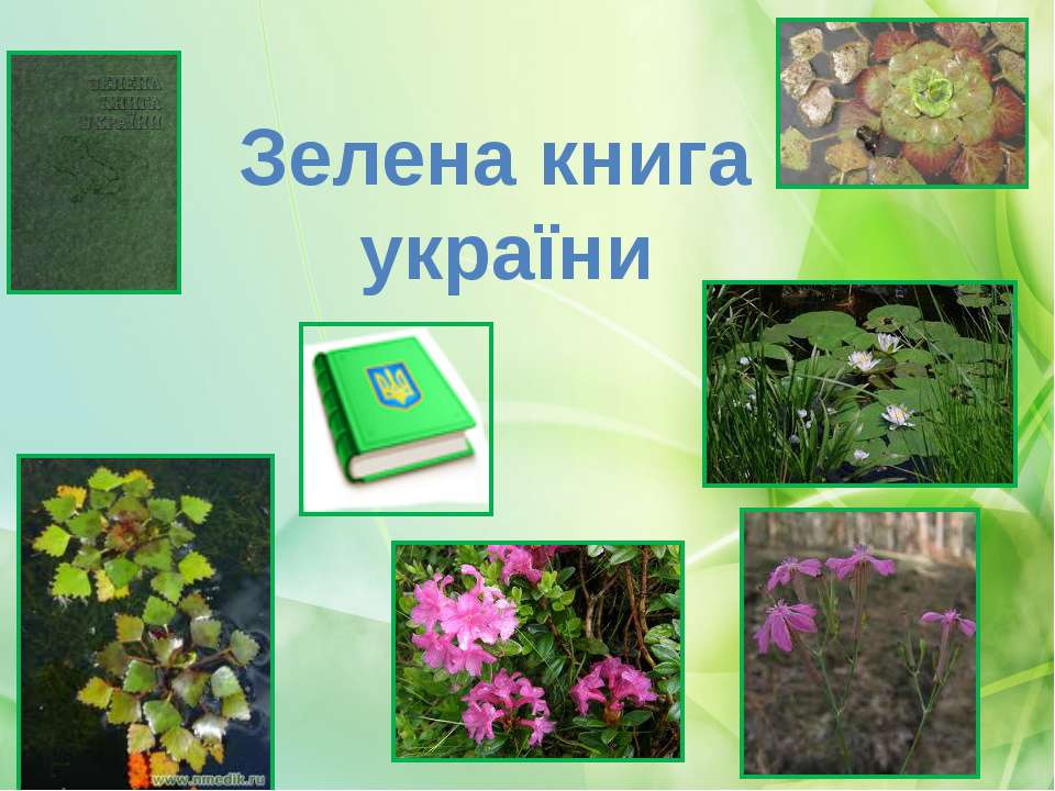 Зелена книга україни презентація скачать