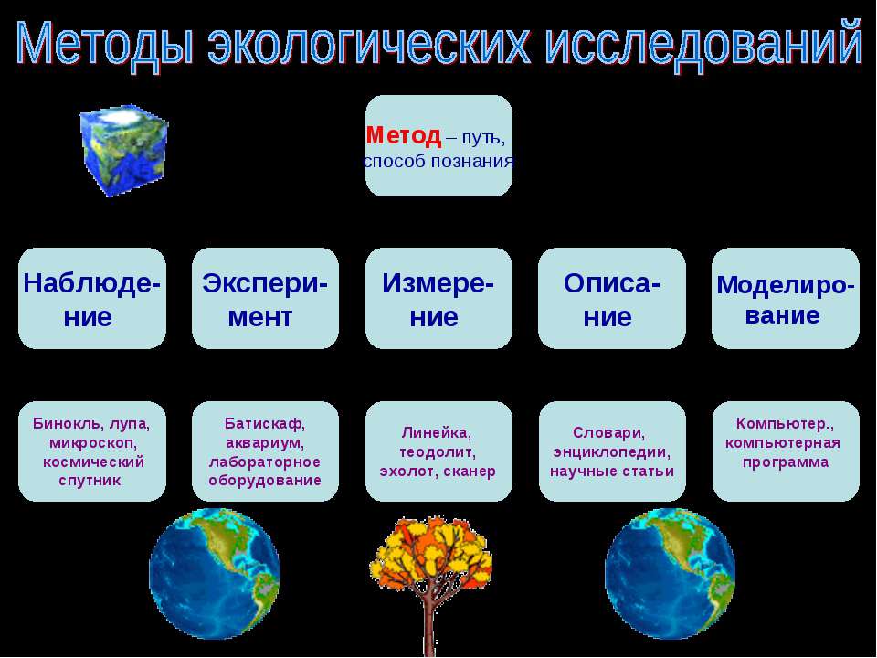 Типовой план экологических исследований