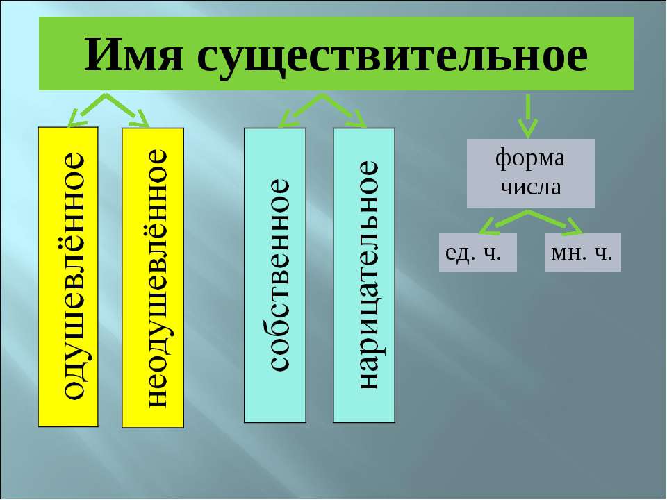 Проект на тему имя существительное