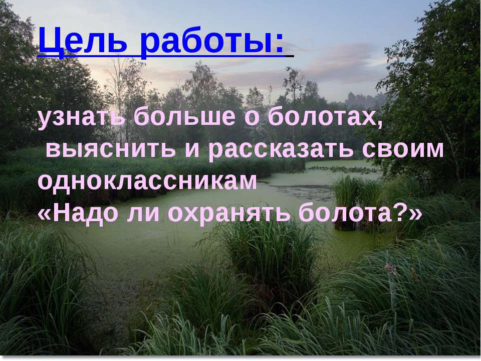 Презентация 3 класс природное сообщество болото 3 класс