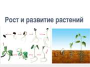 Рост и развитие растений