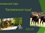 Национальный парк «Беловежская пуща»