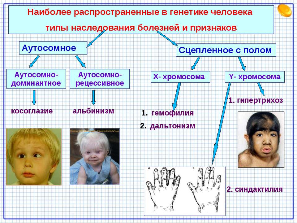 Генетические заболевания человека презентация 9 класс