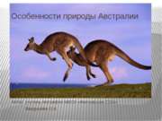 Разработка урока географии "Особенности природы Австралии" (7 класс)