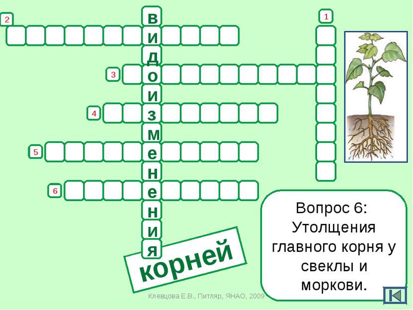 Урок Комнатные Растения 2 Класс Школа России