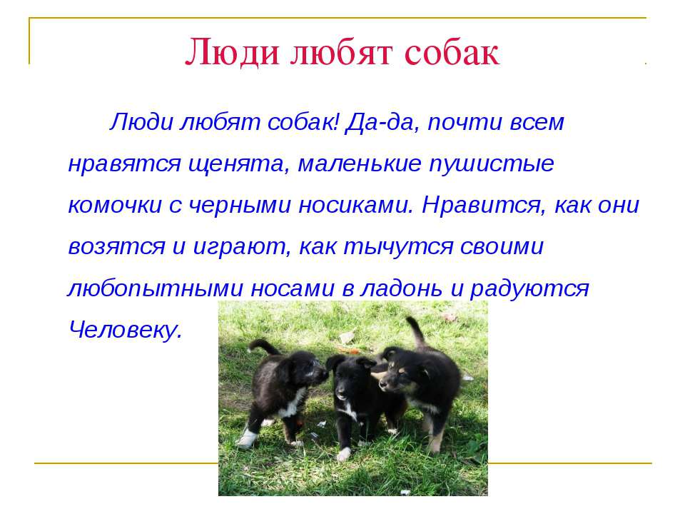 Презентации Проект Про Собак