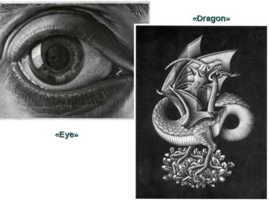 «Dragon» «Eye»