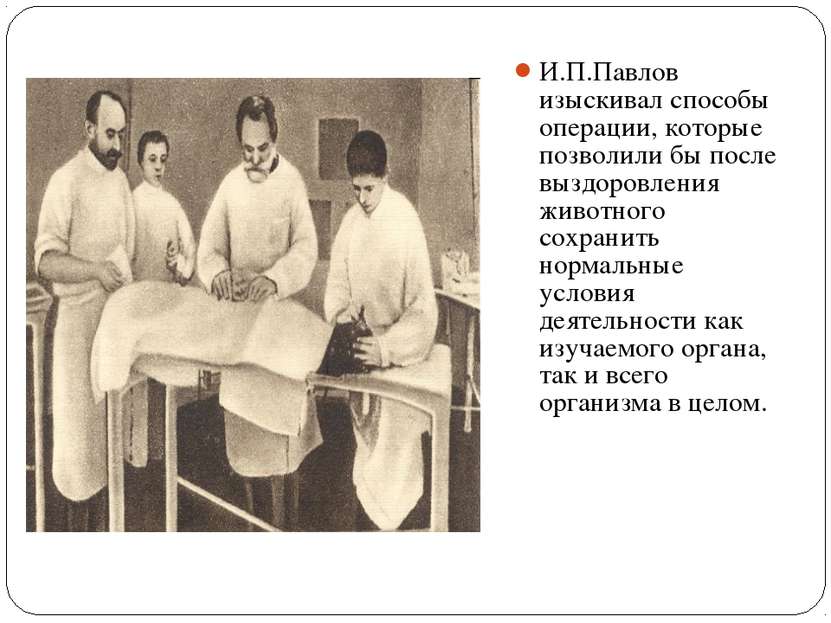 И.П.Павлов изыскивал способы операции, которые позволили бы после выздоровлен...