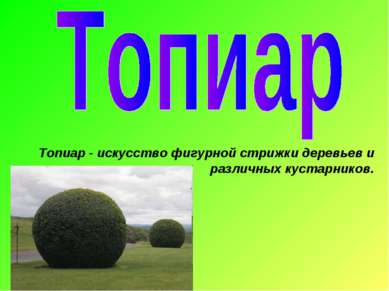 Топиар - искусство фигурной стрижки деревьев и различных кустарников.