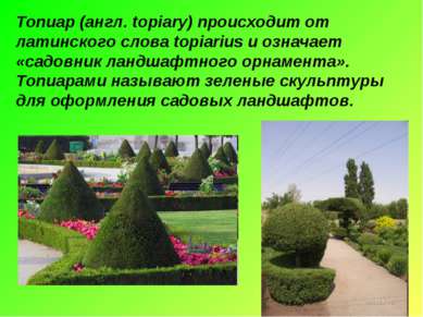 Топиар (англ. topiary) происходит от латинского слова topiarius и означает «с...