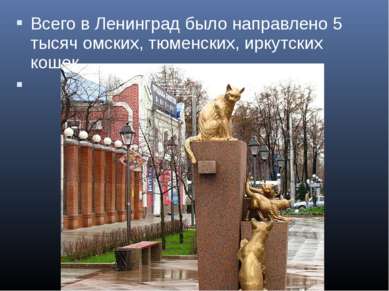 Всего в Ленинград было направлено 5 тысяч омских, тюменских, иркутских кошек.