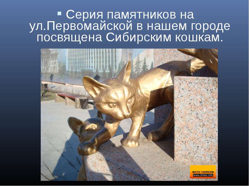 Серия памятников на ул.Первомайской в нашем городе посвящена Сибирским кошкам.