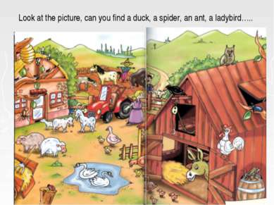 Look at the picture, can you find a duck, a spider, an ant, a ladybird…..