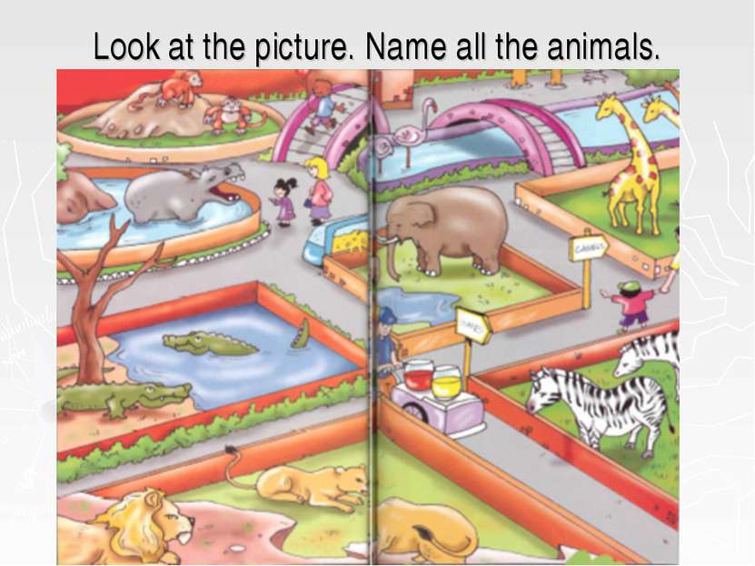 Look at the picture. Name all the animals.