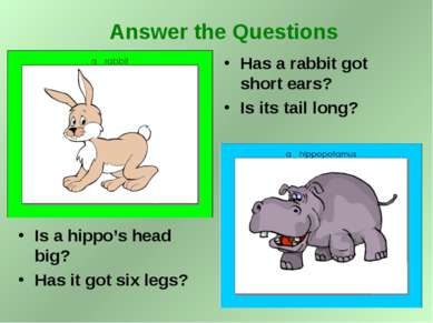 Is a hippo’s head big? Has it got six legs? Has a rabbit got short ears? Is i...