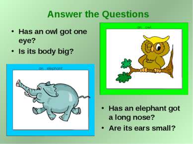Has an owl got one eye? Is its body big? Has an elephant got a long nose? Are...