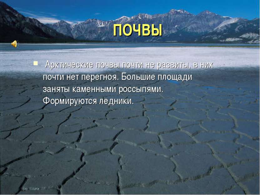 ПОЧВЫ Арктические почвы почти не развиты, в них почти нет перегноя. Большие п...