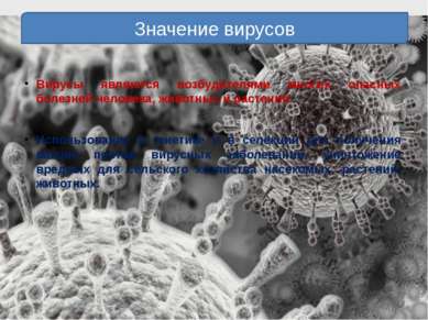 Вирусы являются возбудителями многих опасных болезней человека, животных и ра...