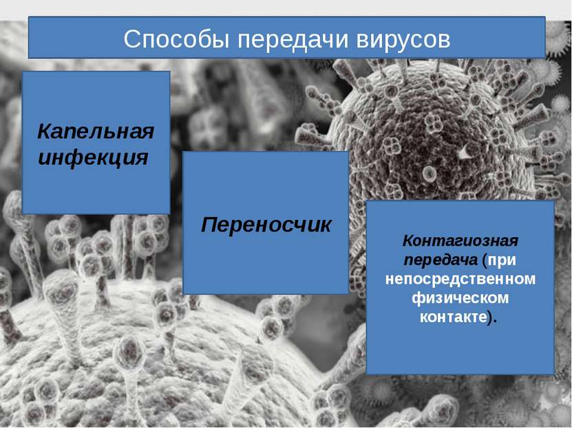 Способы передачи вирусов Капельная инфекция Переносчик Контагиозная передача ...