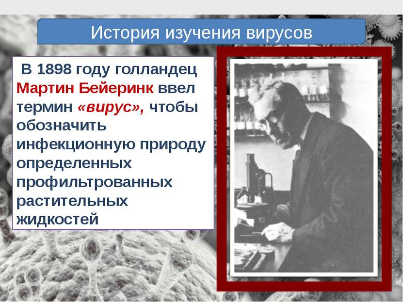 В 1898 году голландец Мартин Бейеринк ввел термин «вирус», чтобы обозначить и...