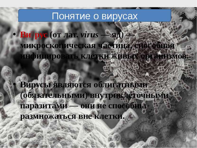 Ви рус (от лат. virus — яд) — микроскопическая частица, способная инфицироват...