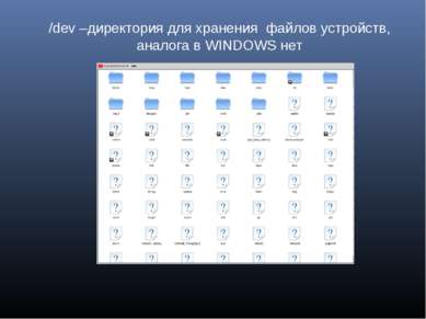 /dev –директория для хранения файлов устройств, аналога в WINDOWS нет