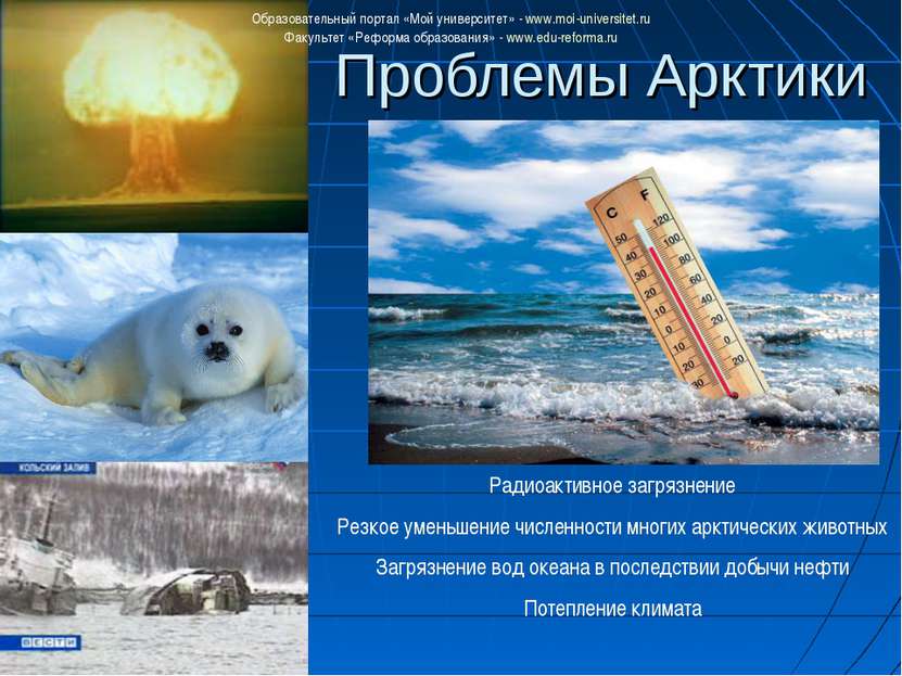 Проблемы Арктики Радиоактивное загрязнение Резкое уменьшение численности мног...