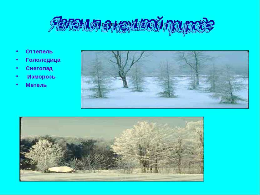 Явления в неивой природе Оттепель Гололедица Снегопад Изморозь Метель