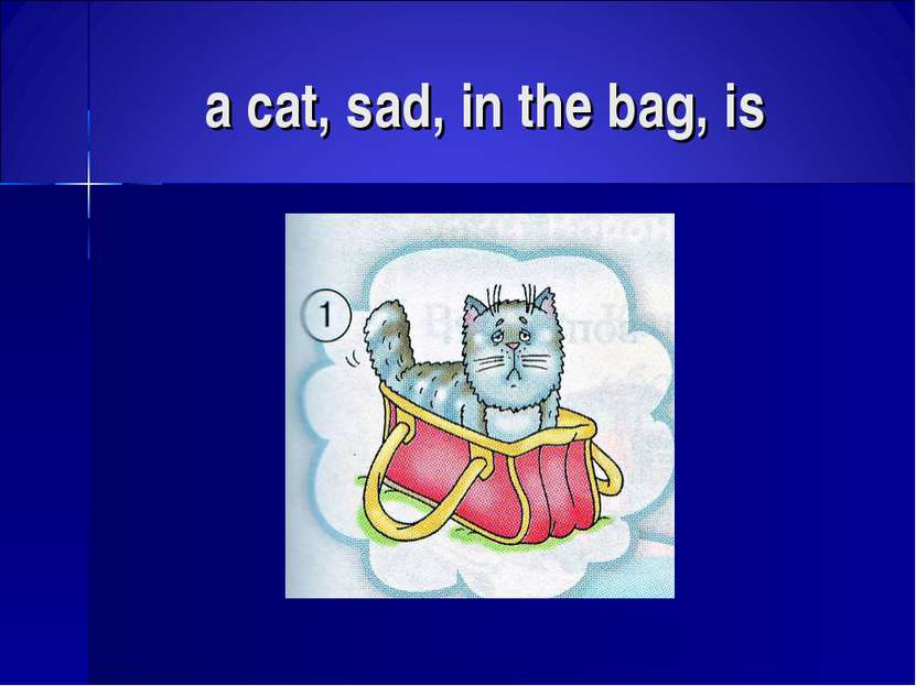 a cat, sad, in the bag, is