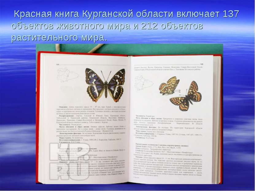 Красная книга Курганской области включает 137 объектов животного мира и 212 о...