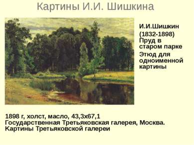 Картины И.И. Шишкина 1898 г, холст, масло, 43,3x67,1 Государственная Третьяко...