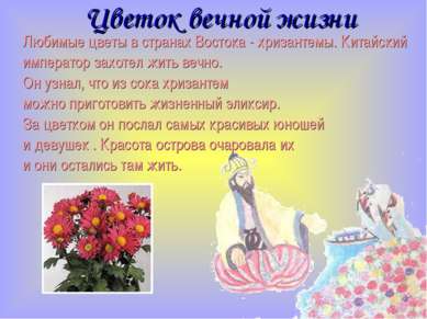 Цветок вечной жизни Любимые цветы в странах Востока - хризантемы. Китайский и...