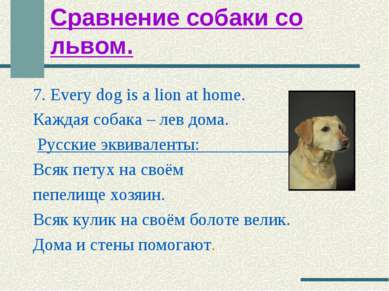 Сравнение собаки со львом. 7. Every dog is a lion at home. Каждая собака – ле...
