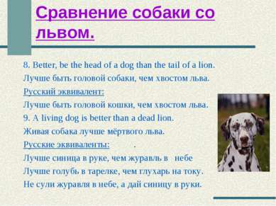 Сравнение собаки со львом. 8. Better, be the head of a dog than the tail of a...