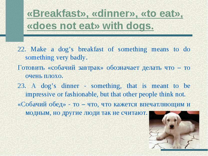 «Breakfast», «dinner», «to eat», «does not eat» with dogs. 22. Make a dog’s b...