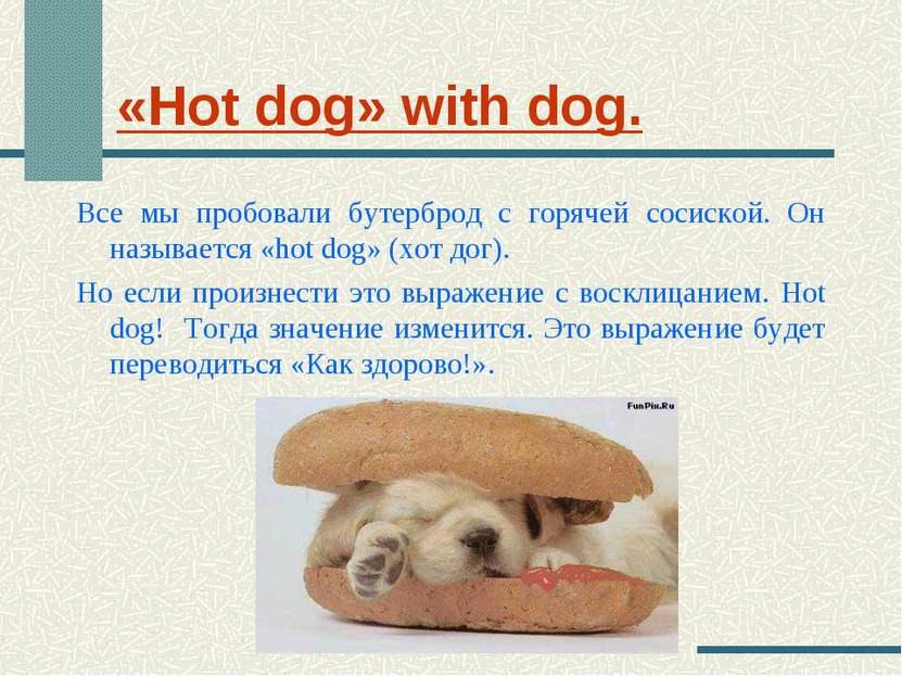 «Hot dog» with dog. Все мы пробовали бутерброд с горячей сосиской. Он называе...