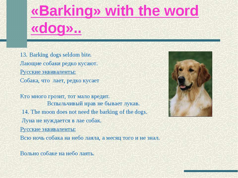 Игра слов собаки. Barking Dogs seldom bite русский эквивалент. Лающая собака не укусит на английском пословица. Пословицы на собака лает а кусает. Лаять на английском.