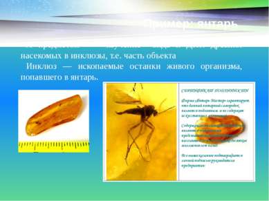 Пример: янтарь А предметом - изучение вида и ДНК древних насекомых в инклюзы,...