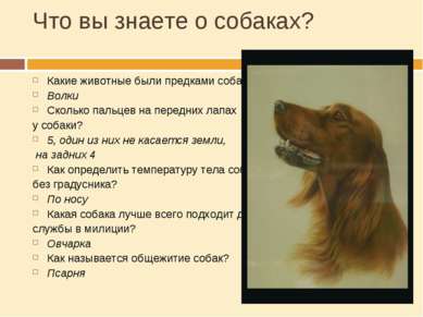 Что вы знаете о собаках? Какие животные были предками собак? Волки Сколько па...