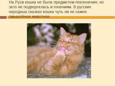На Руси кошка не была предметом поклонения, но зато не подвергалась и гонения...