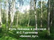 Роль пейзажа в рассказе И.С.Тургенева «Бежин луг»