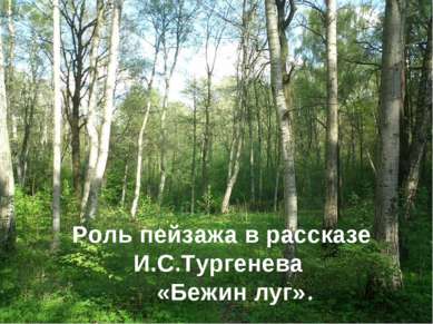 Роль пейзажа в рассказе И.С.Тургенева «Бежин луг».