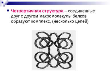 Четвертичная структура – соединенные друг с другом макромолекулы белков образ...