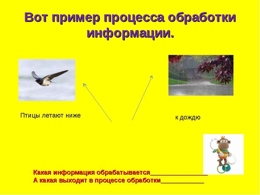 Вот пример процесса обработки информации. Птицы летают ниже к дождю Какая инф...